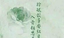 令人心酸的古风句子