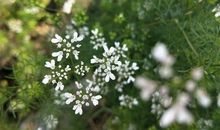 今天天气有点热的朋友圈说说