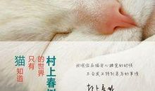 村上春树猫经典语录