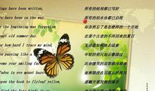 关于青春的英文句子