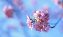 搞笑开心的句子说说心情