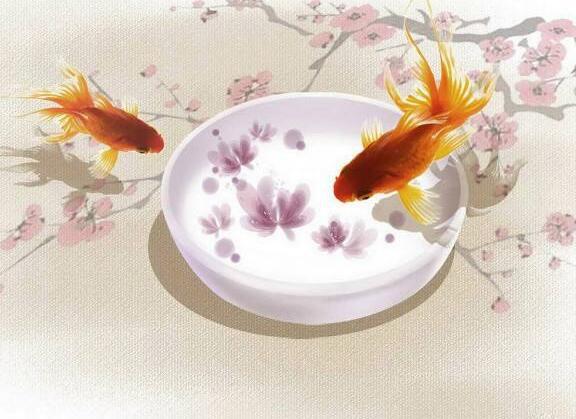 琼破碎玉Qi裂