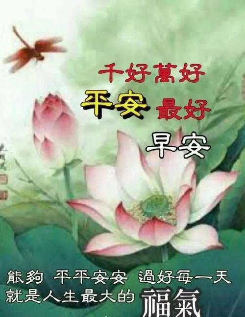 清晨英语祝福语 0