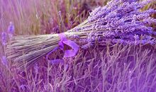 关于回忆的唯美句子50句