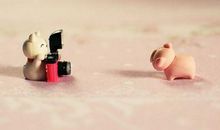 兄妹亲情的经典句子