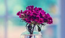 七夕情人节的诗句