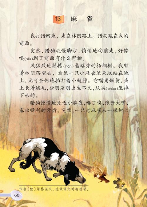 关于麻雀