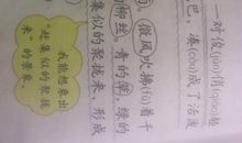 描写小燕子的句子