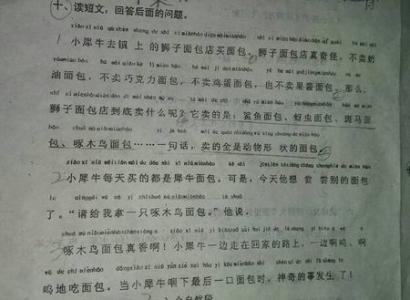 关于犀牛