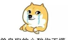 七夕情人节单身说说