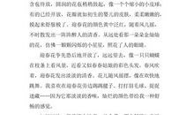 描写迎春花的段落