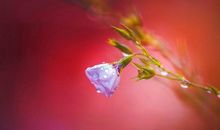 不开心的时候的句子