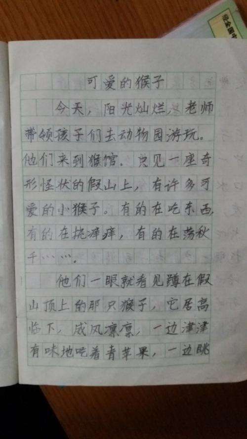 关于猴子