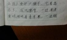 描写猴子的句子