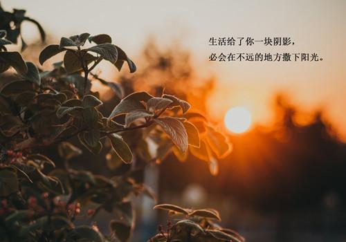 愿和平生活不受干扰