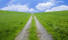 描写心里感到开心的句子