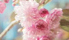 最唯美爱情古风句子