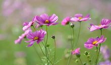 正能量优秀句子