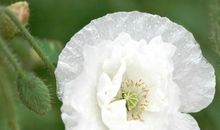 新年第一天上班激励语