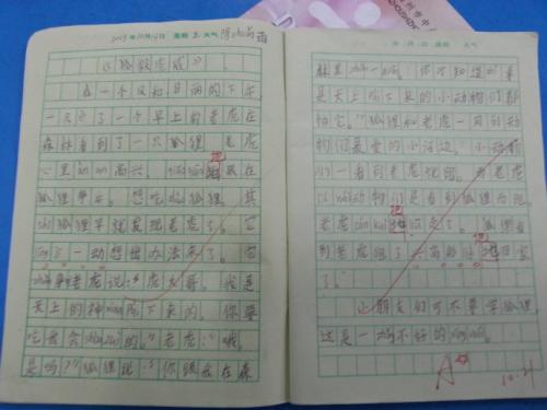 对于老虎来说