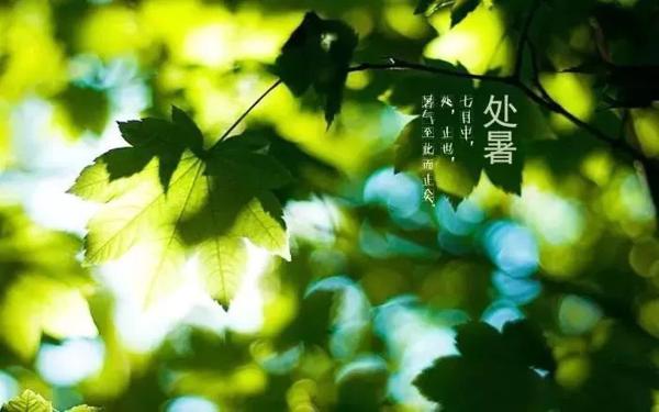 李秋