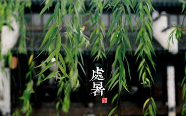 夏天来了