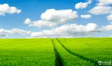 赞美自然风光的句子