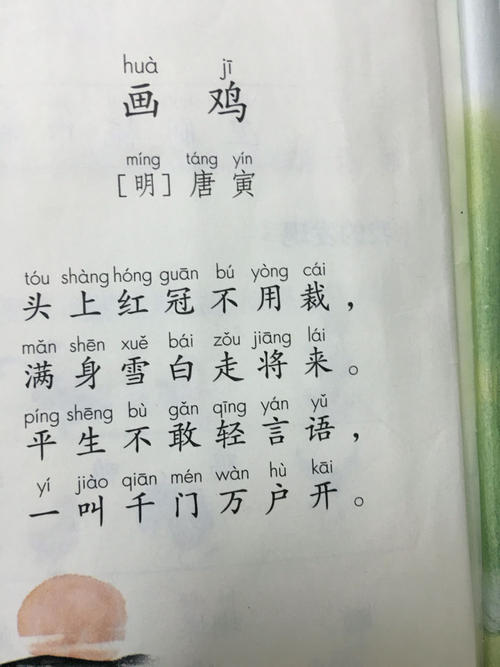 关于公鸡