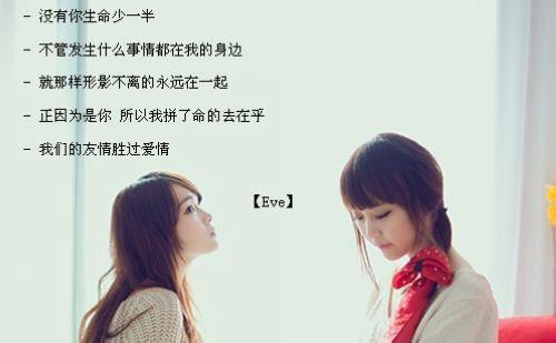    友好的句子很美  1