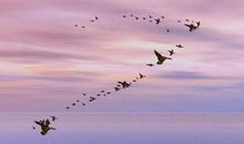 关于完美的座右铭