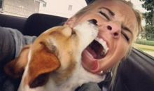 让人女朋友开心的幽默句子