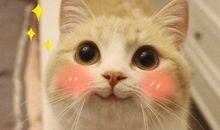 好听开心句子简短的