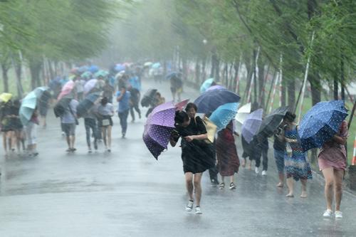 杜达（Douda）的雨滴落在窗户上