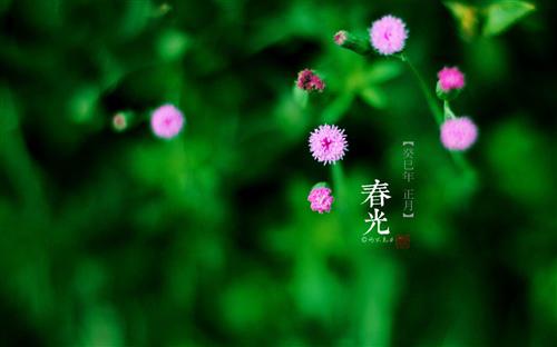 时间确实是世界上最好的时间跨度