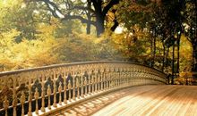 描写秋天来了的句子