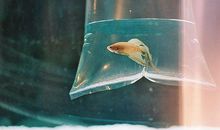 希望你开心快乐的句子