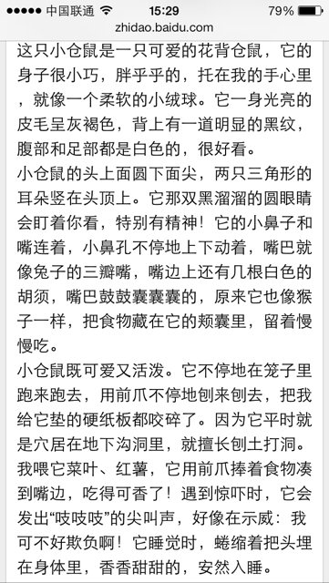 关于仓鼠