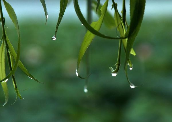 在下雨天