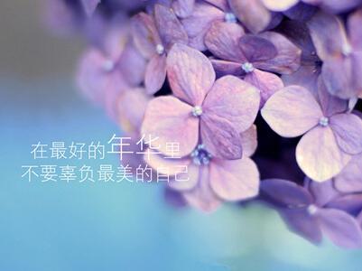 我仍然相信星星会说话