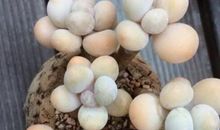 2019简短优美想念的句子