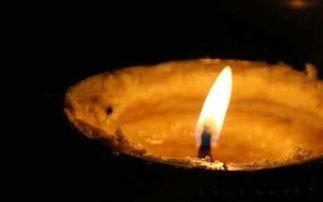 以下是我为您编出的一些句子