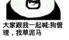 那些骂人的话
