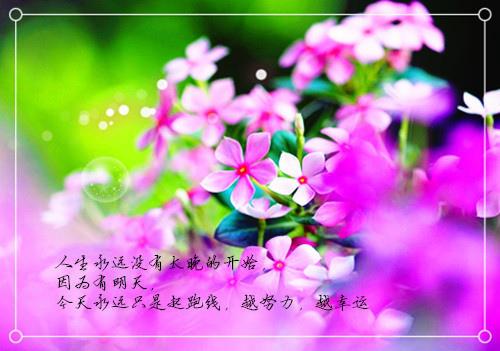 到中年