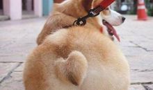 2019流行搞笑句子 最流行的幽默说说