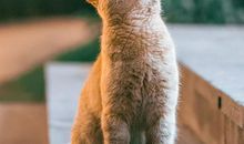 祝孩子开学开心的句子