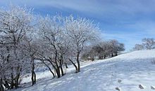 冬天玩的开心句子