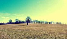 2020表达相思的古风句子