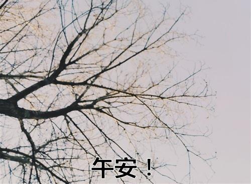 认真的生活认真对待每一天