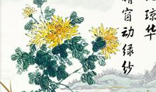 描写菊花的古诗句