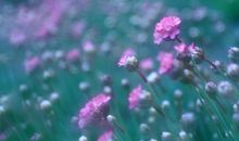 要开心快乐表达的句子